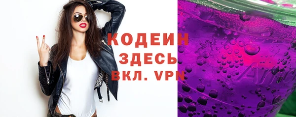 шишки Медвежьегорск