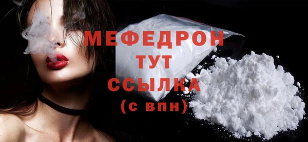 шишки Медвежьегорск
