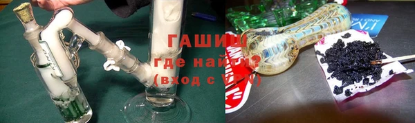 шишки Медвежьегорск