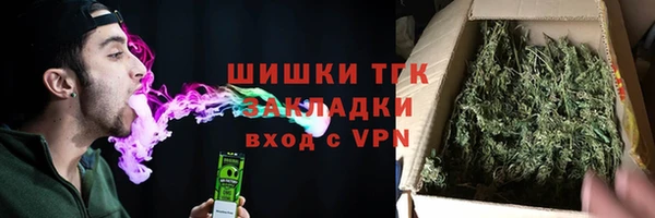 шишки Медвежьегорск