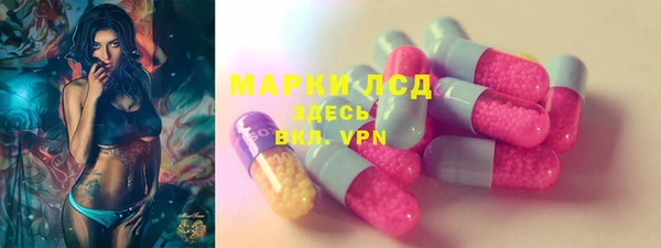 шишки Медвежьегорск