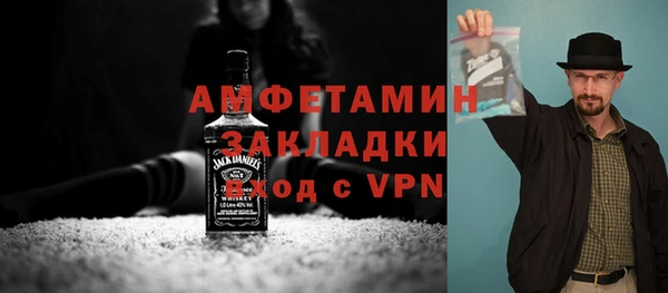 шишки Медвежьегорск