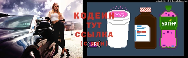 шишки Медвежьегорск