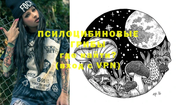 шишки Медвежьегорск