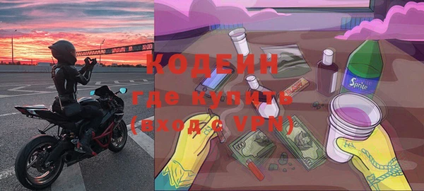 шишки Медвежьегорск