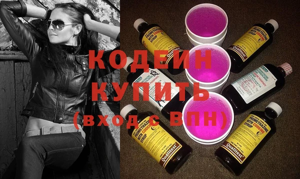 шишки Медвежьегорск