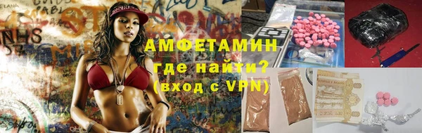 шишки Медвежьегорск