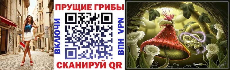 Псилоцибиновые грибы мухоморы  магазин  наркотиков  Лукоянов 